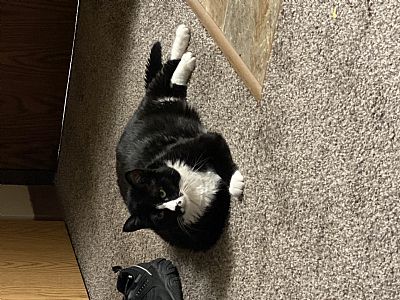 Natetractors profile photo