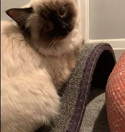 Frank_Man_II profile photo