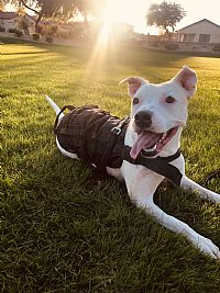 Austin93 profile photo