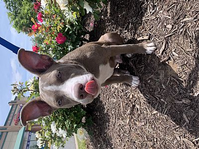 ajones0329 profile photo