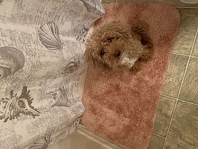 mikajassie profile photo