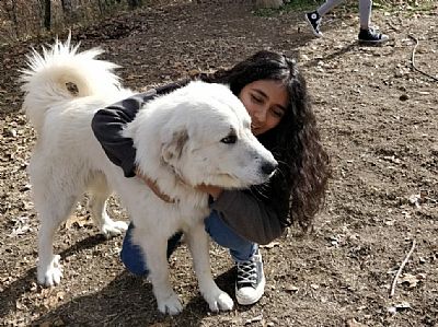 hannah.ns99 profile photo