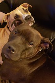 Lchron profile photo