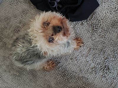 Al vann profile photo