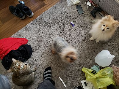 Al vann profile photo