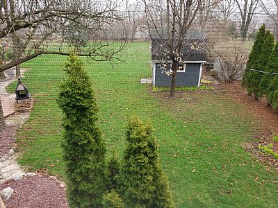 Niveen12 profile photo