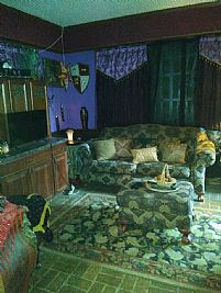 AmethySterling profile photo