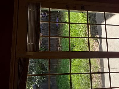 Mattwil8899 profile photo