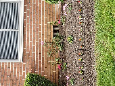 TattedAngel98 profile photo