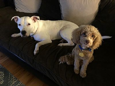 rubenmedic profile photo