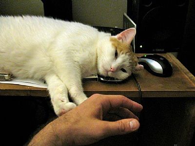 scratchmediaart profile photo