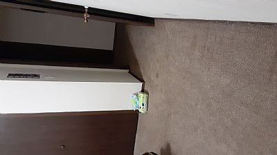 SallyTrav96 profile photo