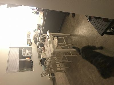 Ashley.christ.1 profile photo