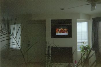 annied profile photo