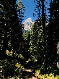 lesmith profile photo