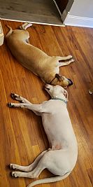 Rickyjo1233 profile photo