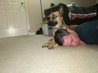 ShaneStencil profile photo