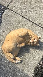 Mikayla_Baughma profile photo