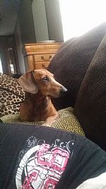 TaylorRobinson9 profile photo