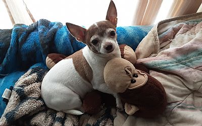 Disabled58 profile photo