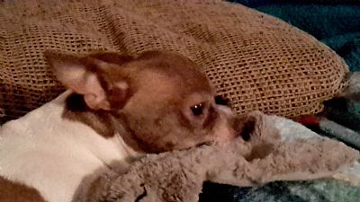 Disabled58 profile photo