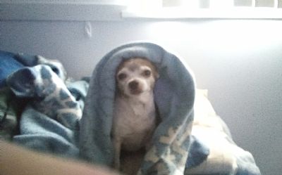 Disabled58 profile photo