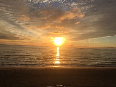 Rorojace profile photo