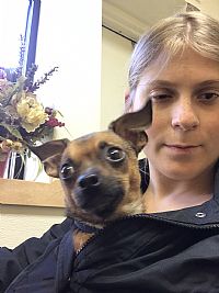 Tiffanysmith profile photo