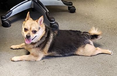 steph i profile photo