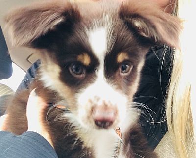 Griswold63 profile photo