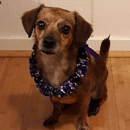 dminor3rd profile photo