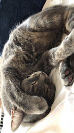 Melissacas3 profile photo