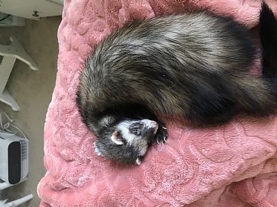 Ericawilloughby profile photo