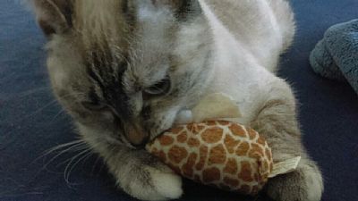 LreneeD97 profile photo