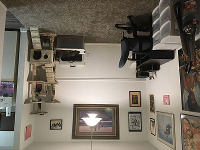 Sseanmacc profile photo