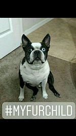 Peachy_Keen20 profile photo