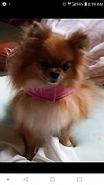 Kayciwood profile photo