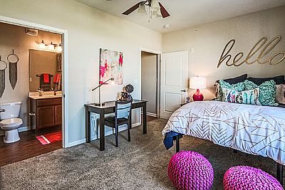 druhichoksi profile photo