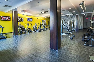 druhichoksi profile photo