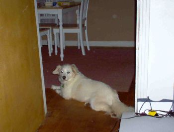 GracieLynne profile photo