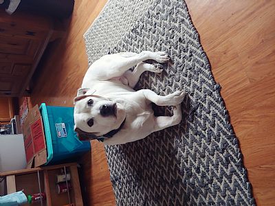 Kyylaa profile photo