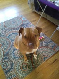 ANCASHMERE9 profile photo