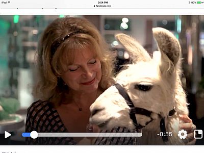 Ceefee profile photo