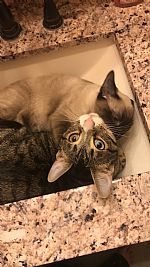 KayliAL profile photo