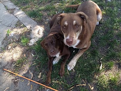 Siqthechiq profile photo