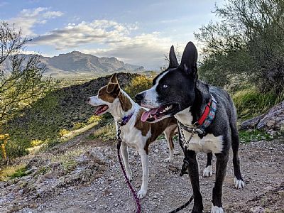 sam.rosborough profile photo