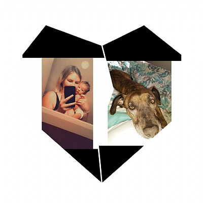 fdiesterhaft profile photo