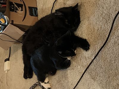 hannahakers profile photo