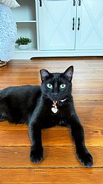 kettlekorn profile photo