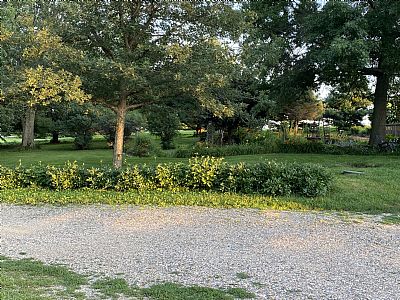 acreage2020 profile photo